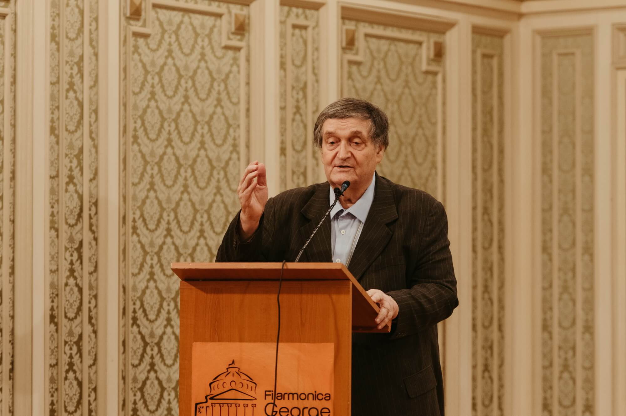 Criticul literar Alex Ștefănescu